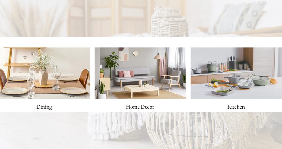 Modern Lifestyle SG Pte Ltd